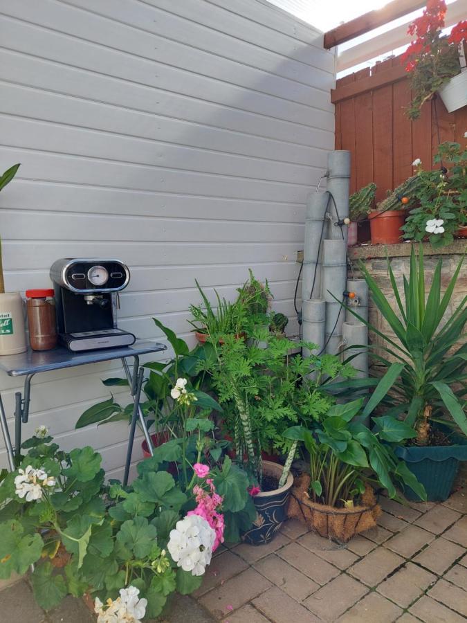 Beautiful Apartment 布里斯托 外观 照片